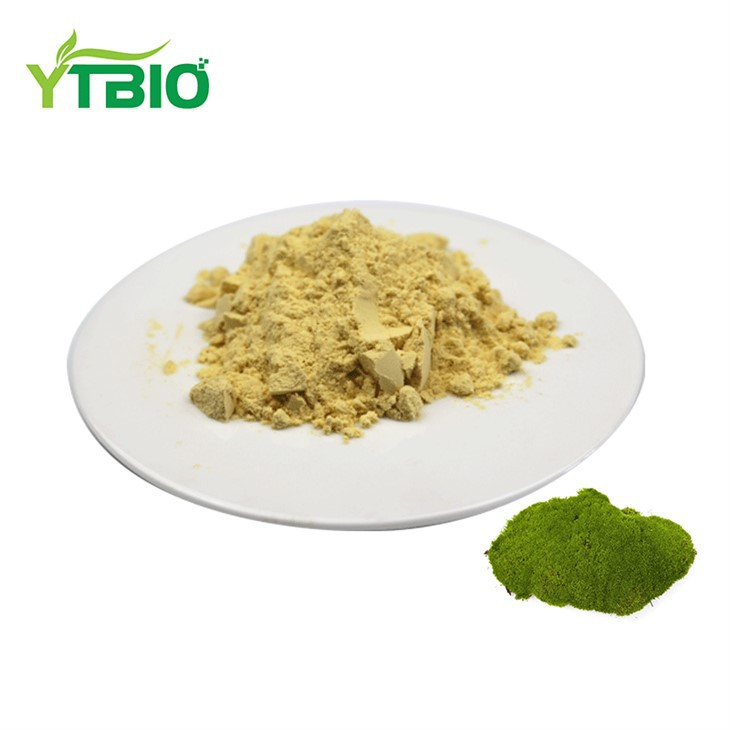 Usnic Acid Powder